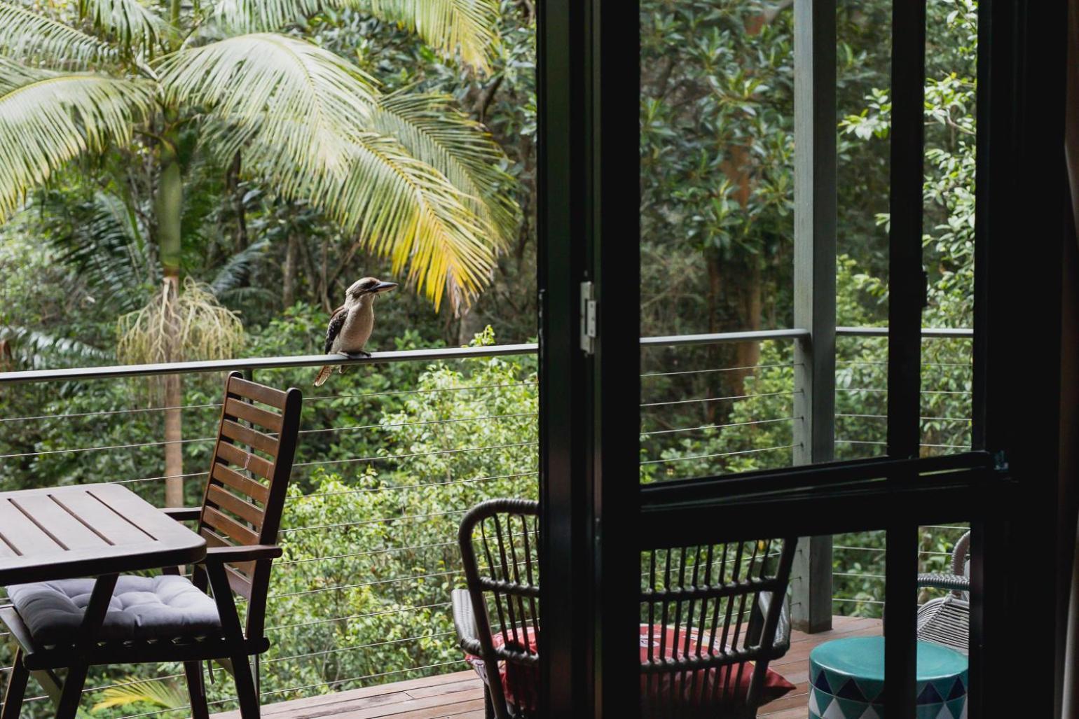 Kondalilla Eco Resort Montville Eksteriør bilde