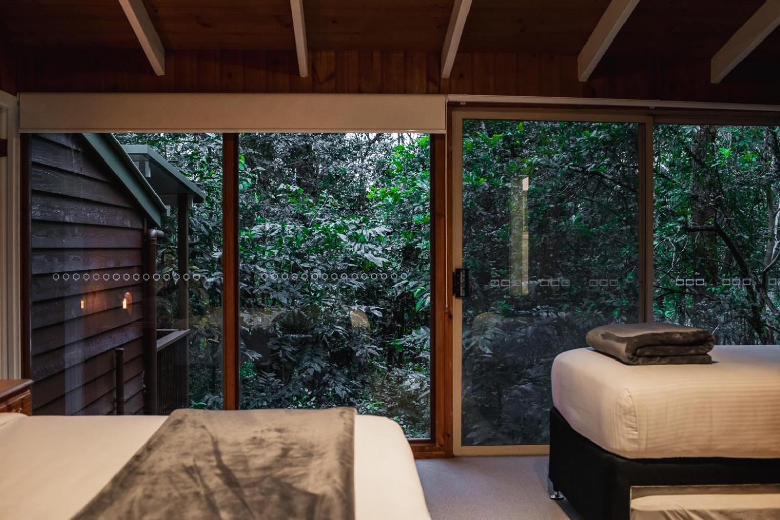 Kondalilla Eco Resort Montville Eksteriør bilde