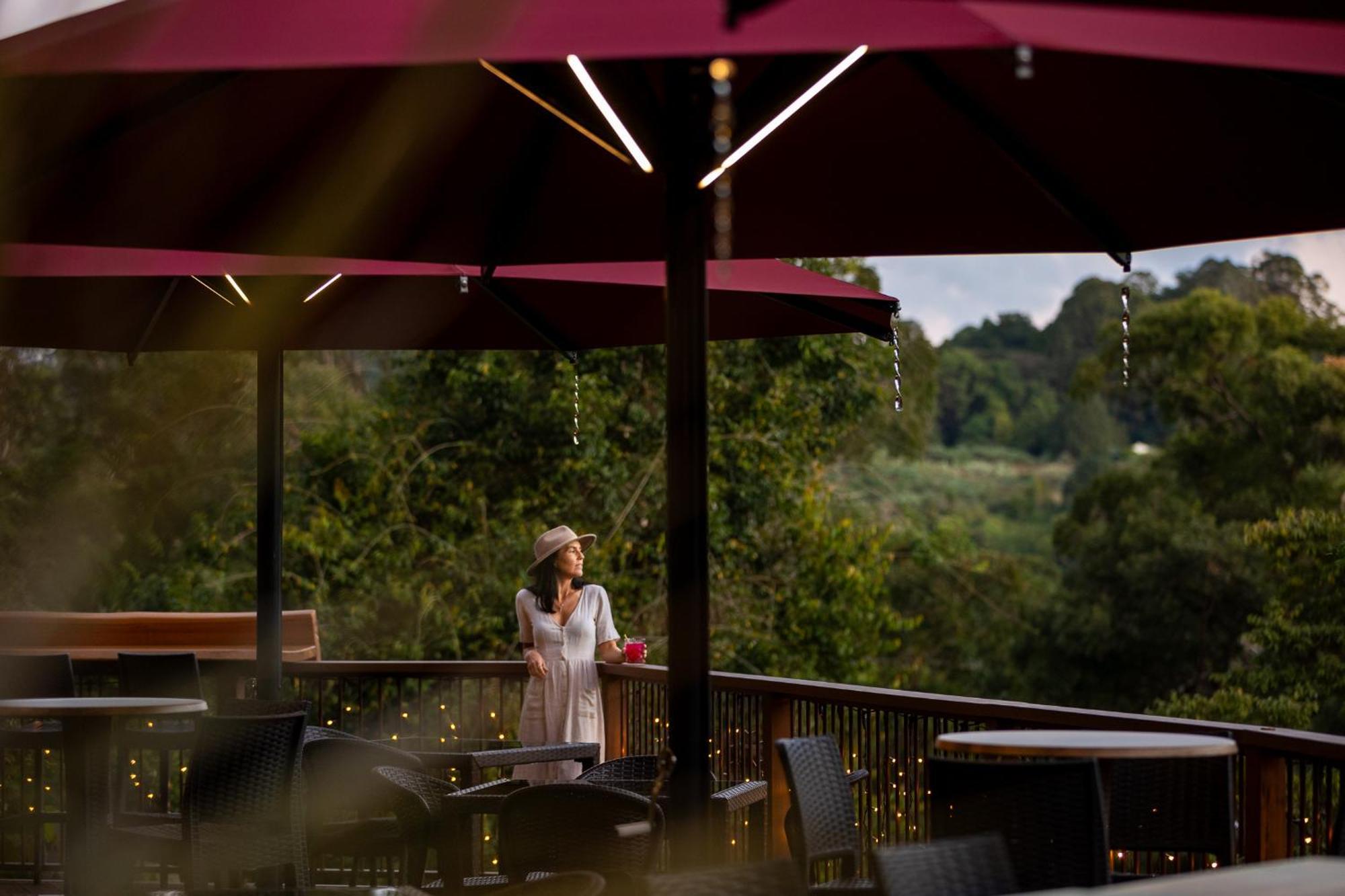 Kondalilla Eco Resort Montville Eksteriør bilde