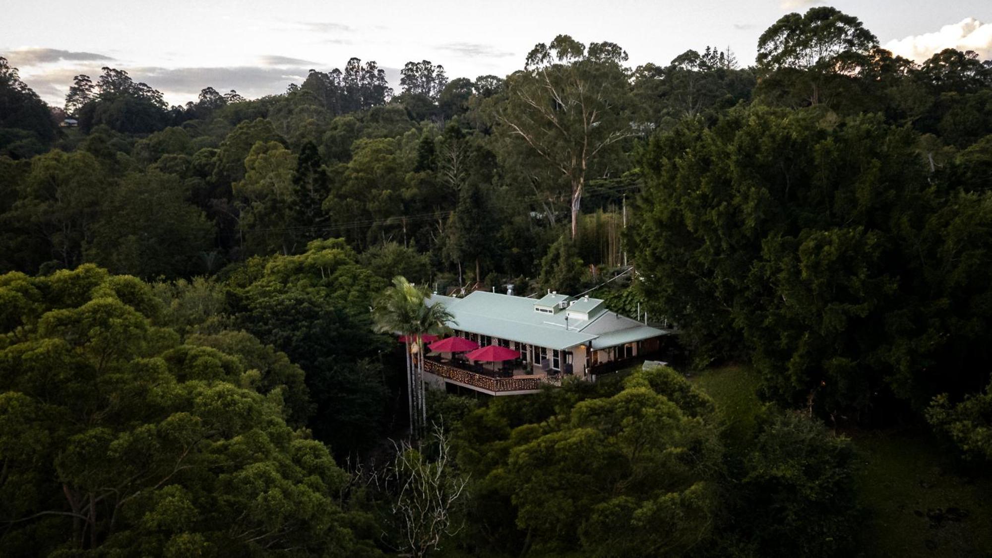 Kondalilla Eco Resort Montville Eksteriør bilde