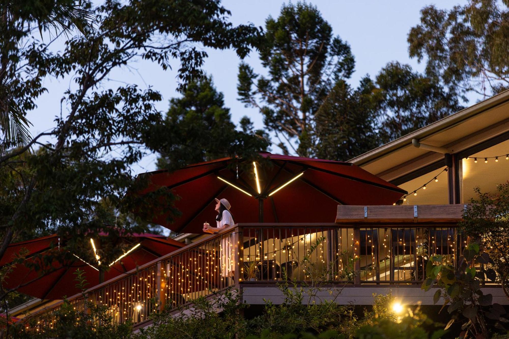 Kondalilla Eco Resort Montville Eksteriør bilde