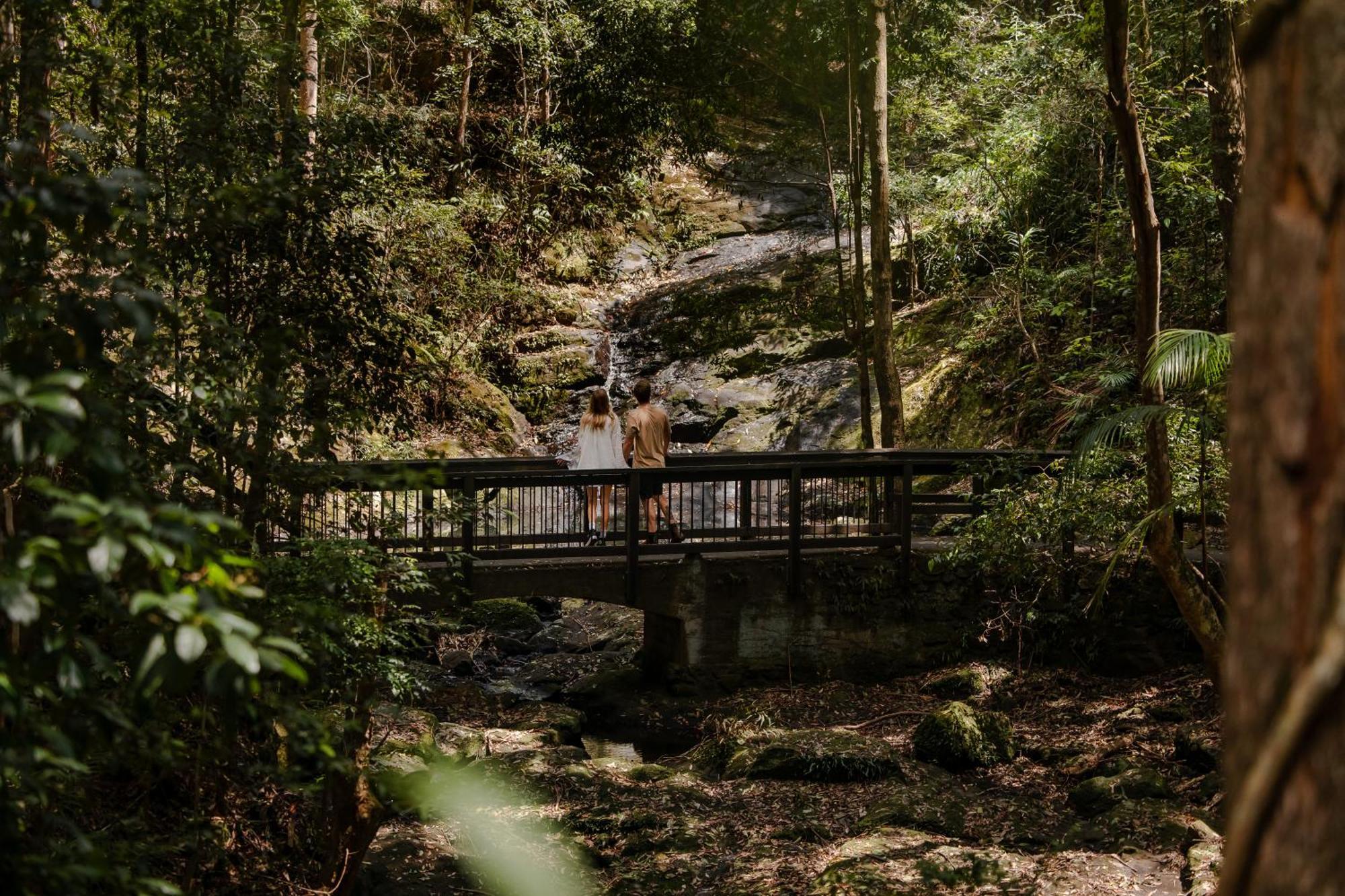 Kondalilla Eco Resort Montville Eksteriør bilde