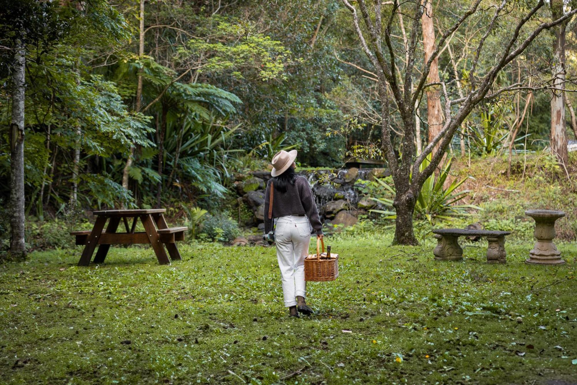 Kondalilla Eco Resort Montville Eksteriør bilde